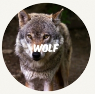 wwf rangerclub wolf NL round
