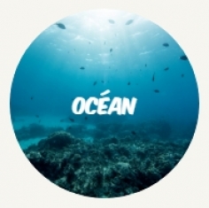 WWF rangerclub ocean oceaan round FR