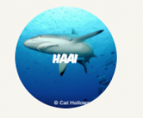 Haai website rangerclub