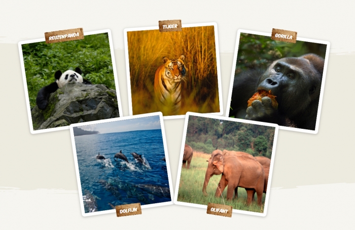 WWF rangerclub dierenpagina