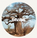 Savane