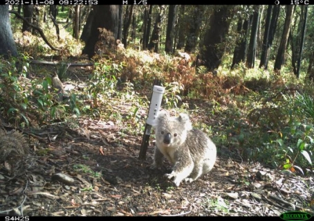 Science for Wildlife3