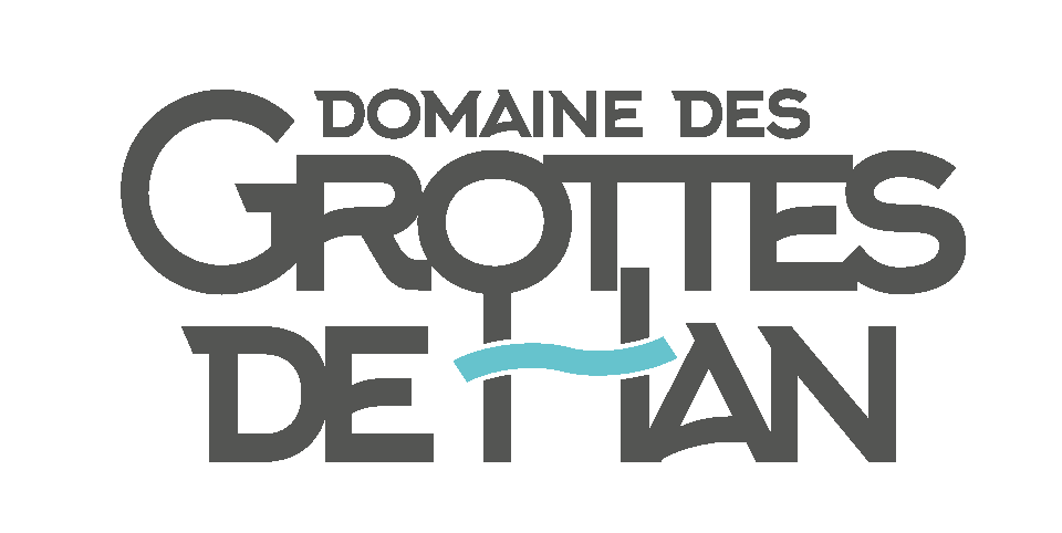 Logo Grottes de Han