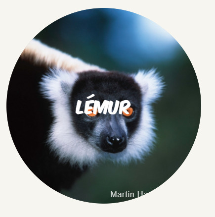 Lemur FR