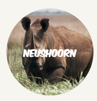 neushoorn ROUND NL