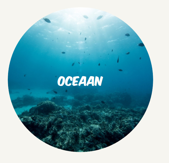 wwf rangerclub oceaan ROUND