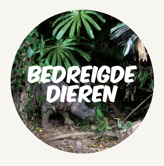 wwf rangerclub dossier NL bedreigde dieren ROUND