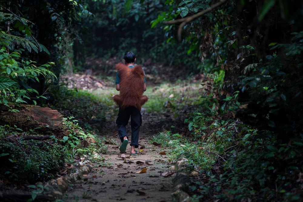 WWF rangerclub orang outan orang oetan NEWS2