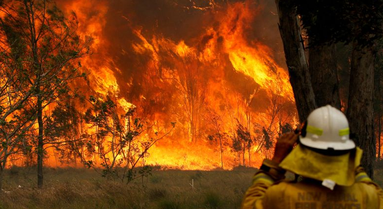 wwf rangerclub bosbranden feux australie3