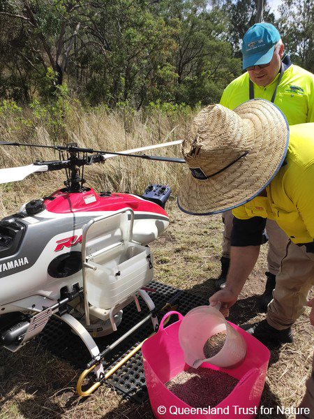 wwf rangerclub drones koala2