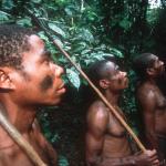 Trois indigènes dans la forêt